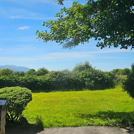 Mary's Artebella Tralee