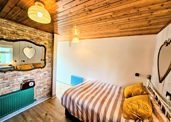 Mary's Artebella * Tralee